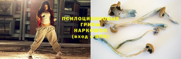 гашик Балабаново