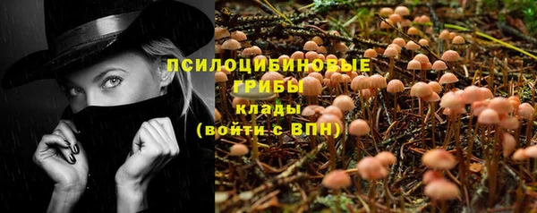 прущие грибы Балахна
