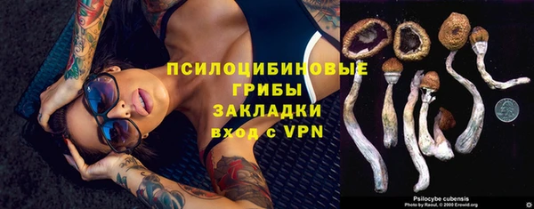 spice Россошь
