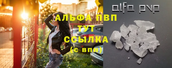 прущие грибы Балахна